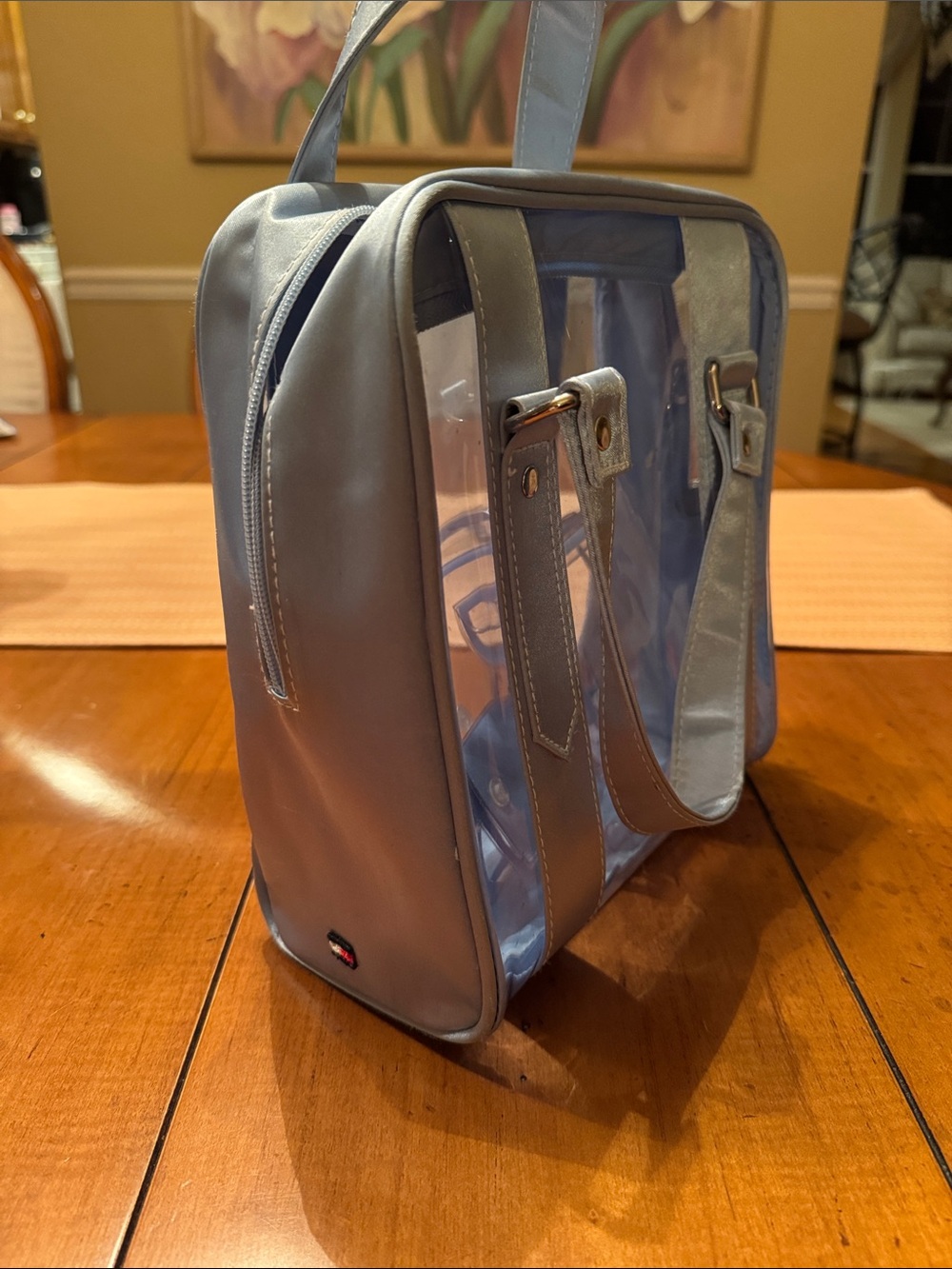 Clear Panel Light BlueTote Bag